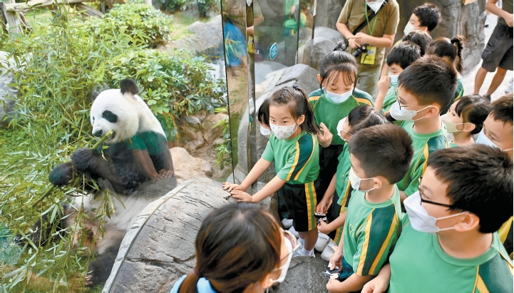 【民意建言】發(fā)展大熊貓經(jīng)濟(jì) 政府樂(lè)園同有責(zé)