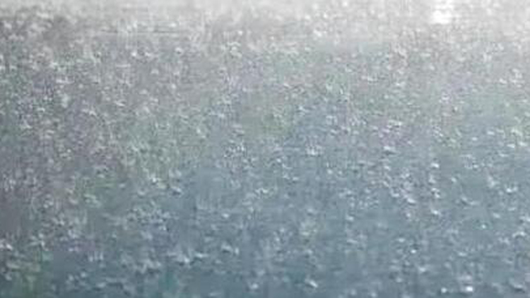 三預(yù)警齊發(fā)！廣東部分市縣有暴雨 局地伴有8級(jí)左右短時(shí)大風(fēng)