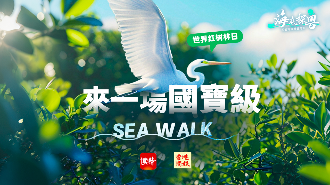 直播預(yù)告丨世界紅樹林日，來(lái)一場(chǎng)「國(guó)寶級(jí)」Sea Walk