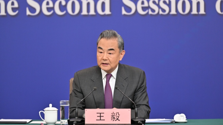 王毅會見菲律賓外長馬納羅