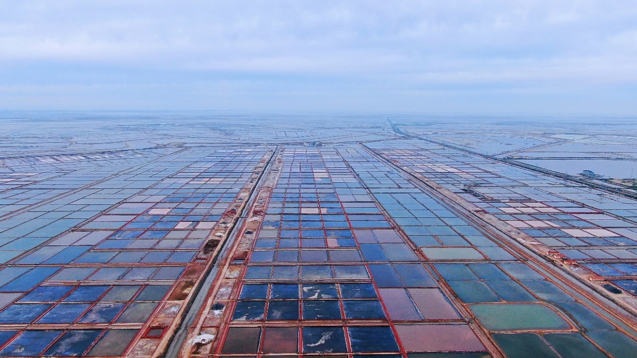 藍(lán)色濱州 逐夢未來