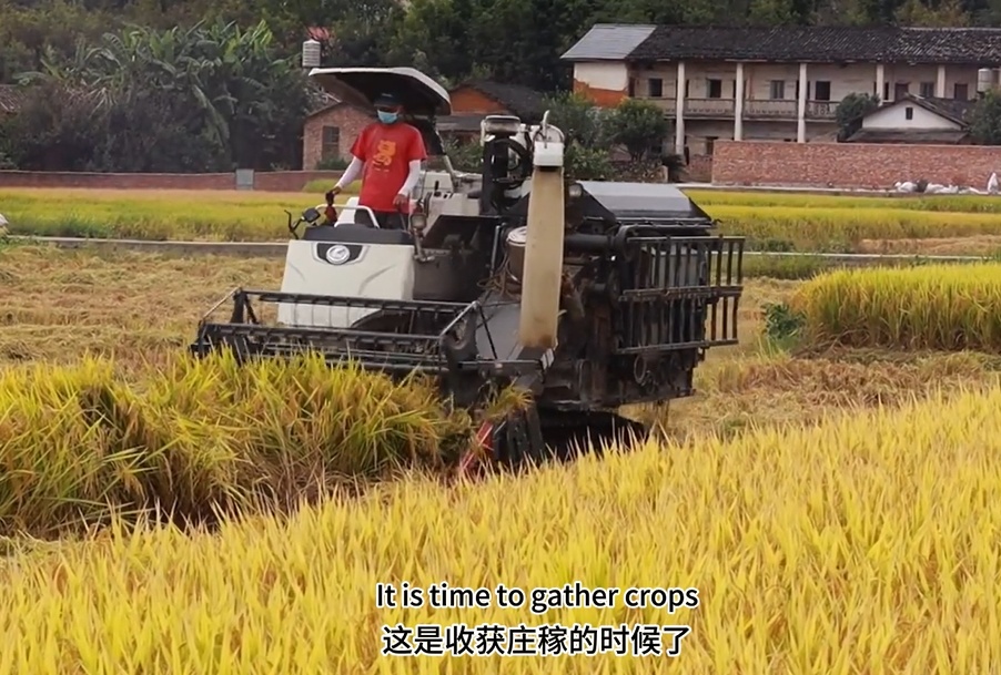 【視聽山東】英語(yǔ)話節(jié)氣：立秋