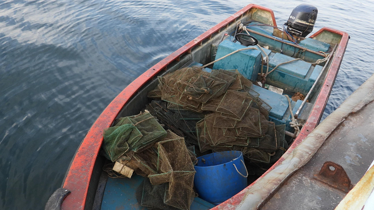 涉於三門(mén)仔附近內(nèi)地船上用蛇籠捕魚(yú) 2名內(nèi)地人被起訴