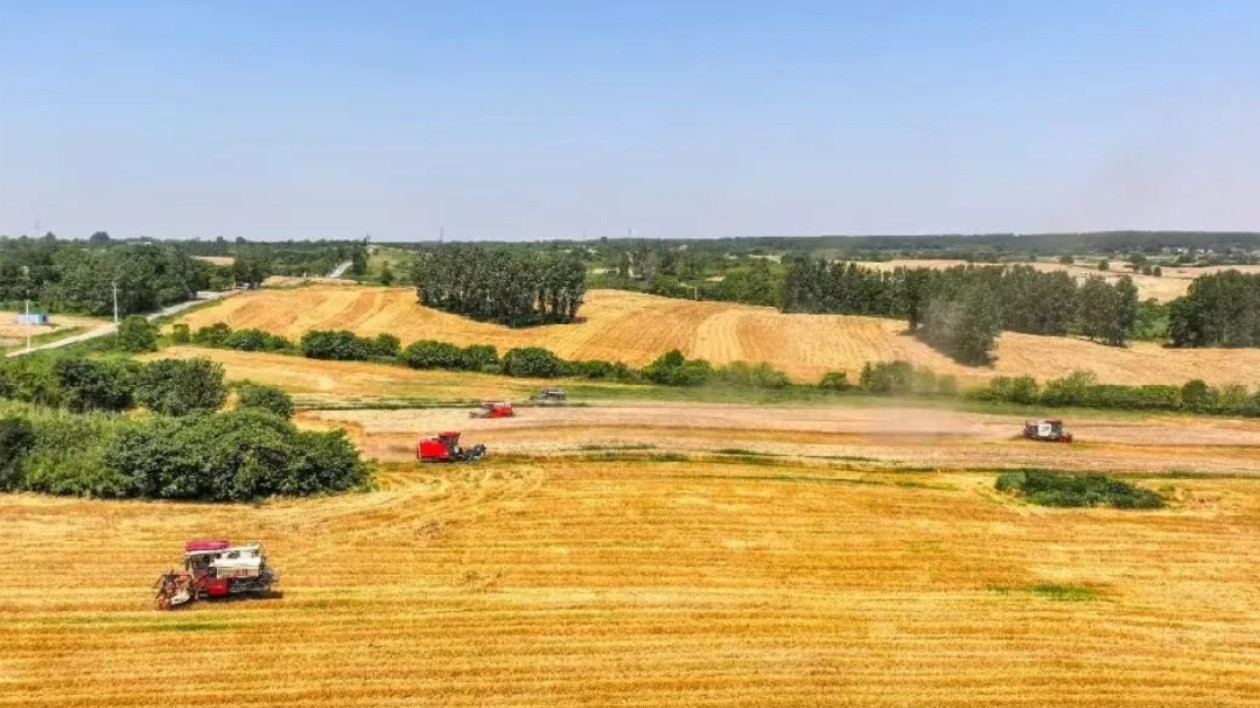 合肥蜀山：6600畝「糧田」將迎來提檔升級(jí)