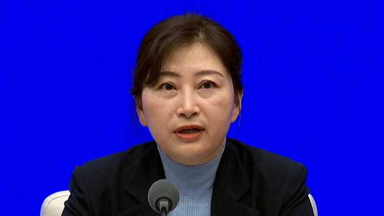 國家移民管理局：3萬名非中國籍人士申請港澳居民來往內(nèi)地通行證