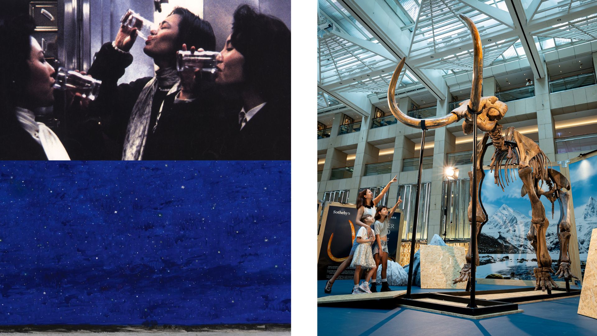 有片 | 齊看史前猛獁象化石——【一周「港」藝】香港文藝活動(dòng)菜單（19/8-26/8）