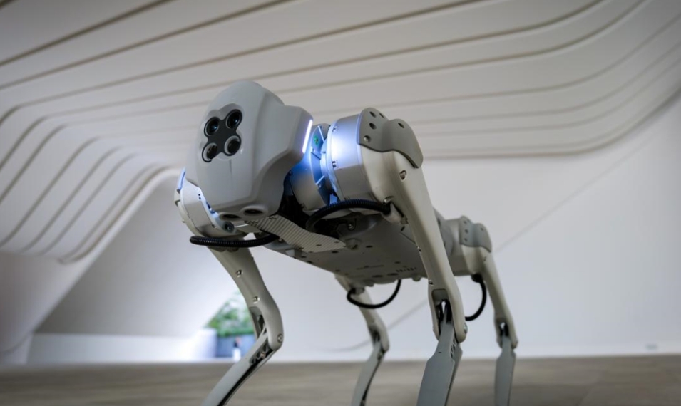 深圳機(jī)器人相關(guān)企業(yè)5.11萬家 數(shù)量居全國首位，行業(yè)總產(chǎn)值超1700億元