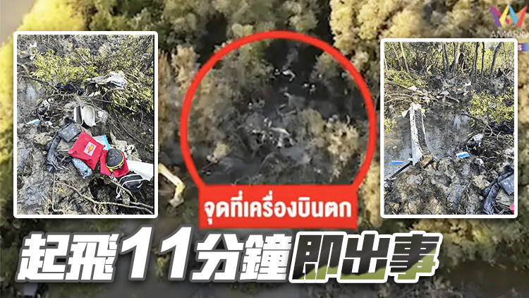 追蹤報道｜泰國墜機9人罹難！泰媒：5人為中國籍遊客，護照簽發(fā)地為上海