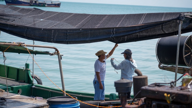 踏浪逐鮮 湛江開漁後的「第一網(wǎng)鮮」來啦！