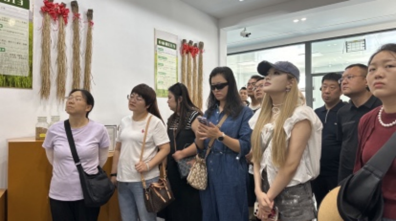 北大經(jīng)濟(jì)學(xué)院晉城民營(yíng)企業(yè)家走進(jìn)五常喬府大院 探秘中國(guó)高品質(zhì)大米