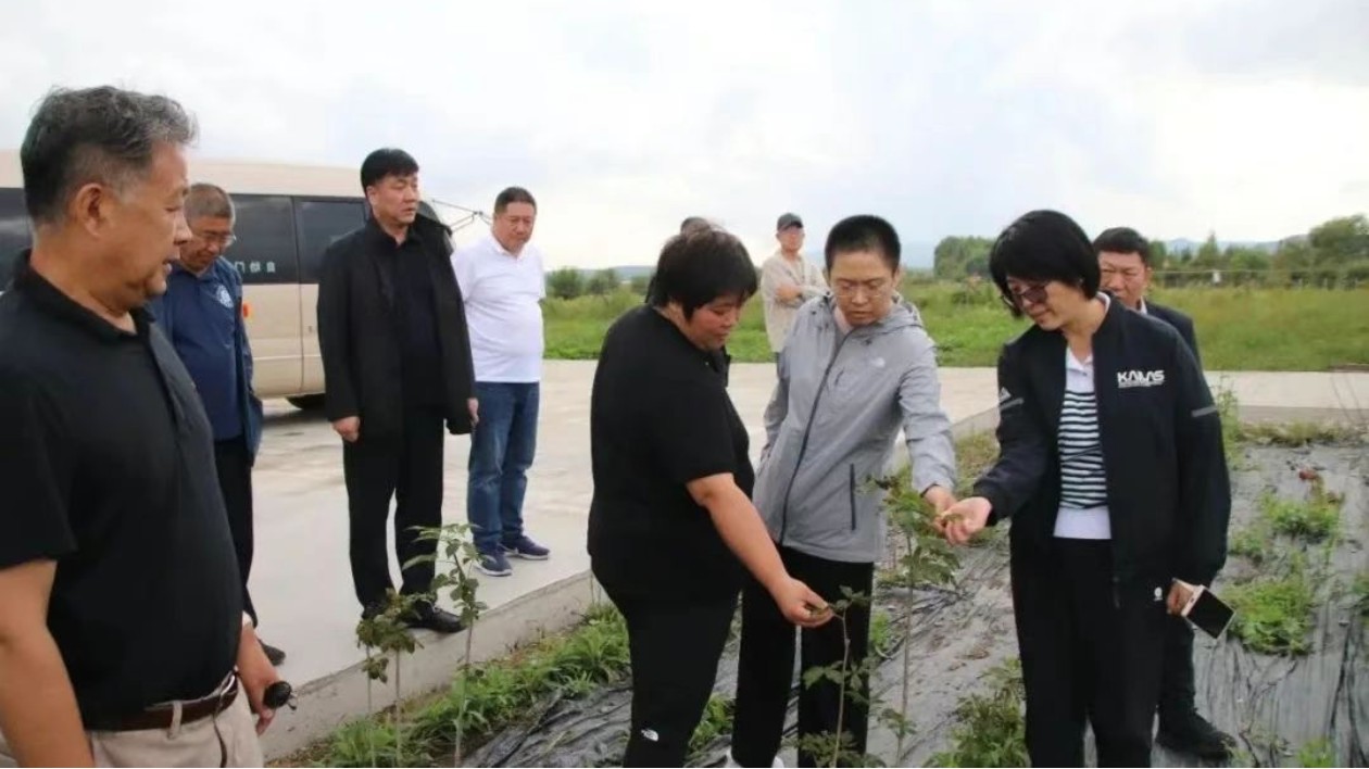 【對(duì)接大灣區(qū)·寒地龍藥耀九州】系列報(bào)道之八十六  伊春：深化校地合作 推動(dòng)中醫(yī)藥產(chǎn)業(yè)發(fā)展