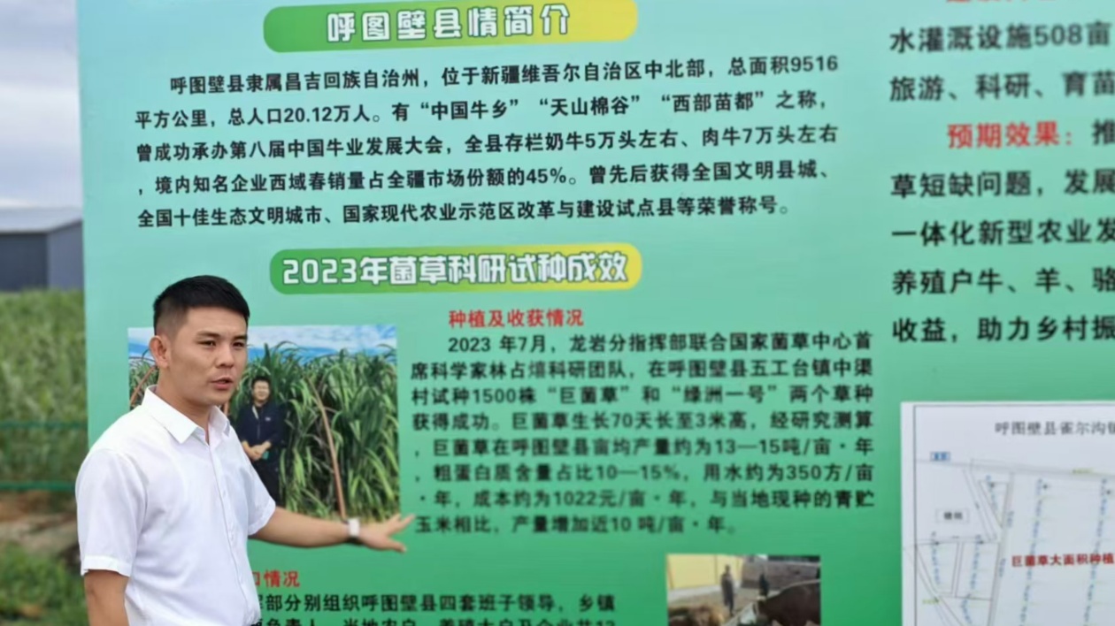 福建援疆龍巖分指揮部推動新疆呼圖壁縣菌草產(chǎn)業(yè)發(fā)展助力鄉(xiāng)村振興