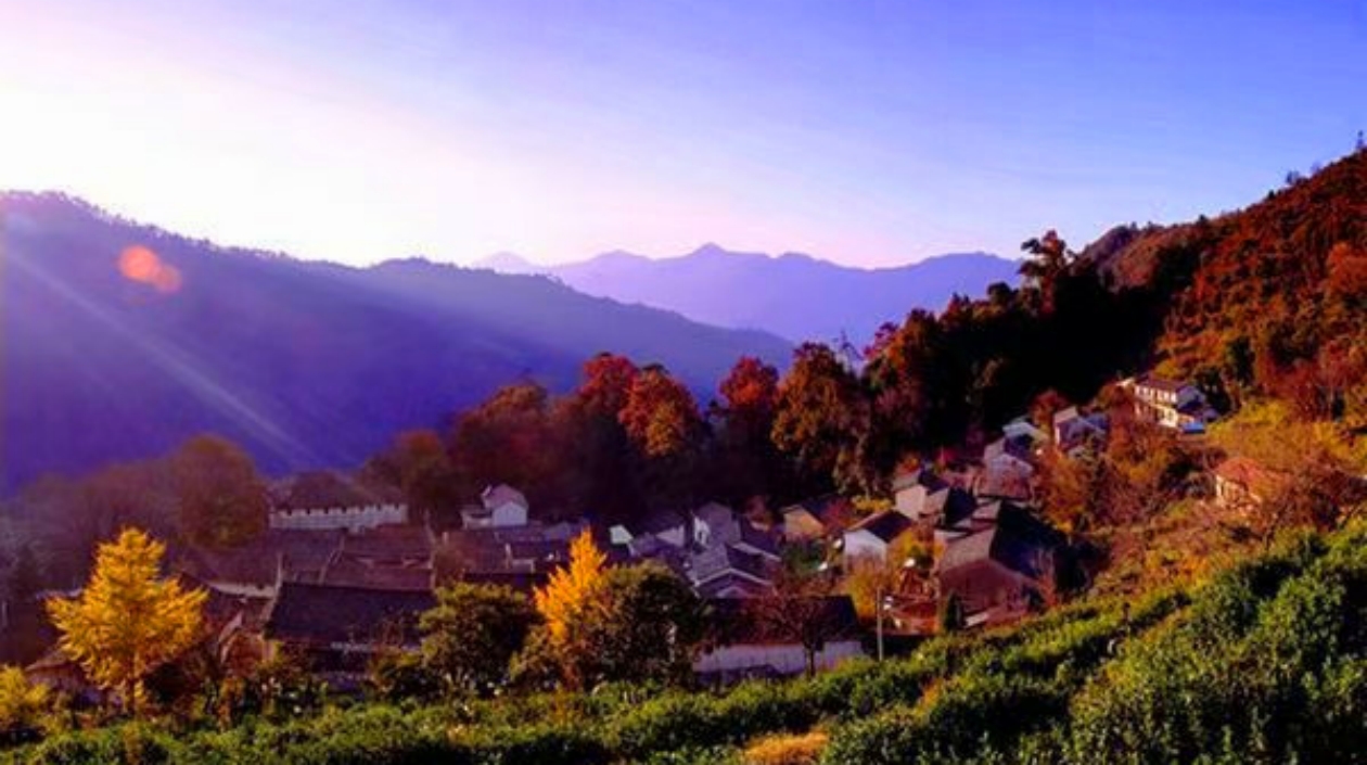 皖祁門祁紅鄉(xiāng)：「五治」融合繪就鄉(xiāng)村治理新畫卷