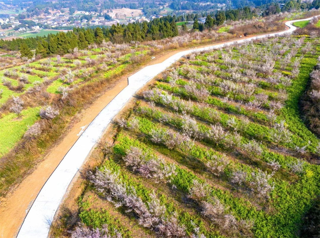 數(shù)字賦能 四川綿陽(yáng)遊仙鐵爐村喜變「金爐」村