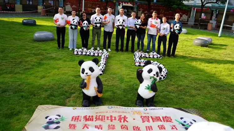 元朗天水圍天晴邨首個(gè)以熊貓為主題綠茵場地啟用