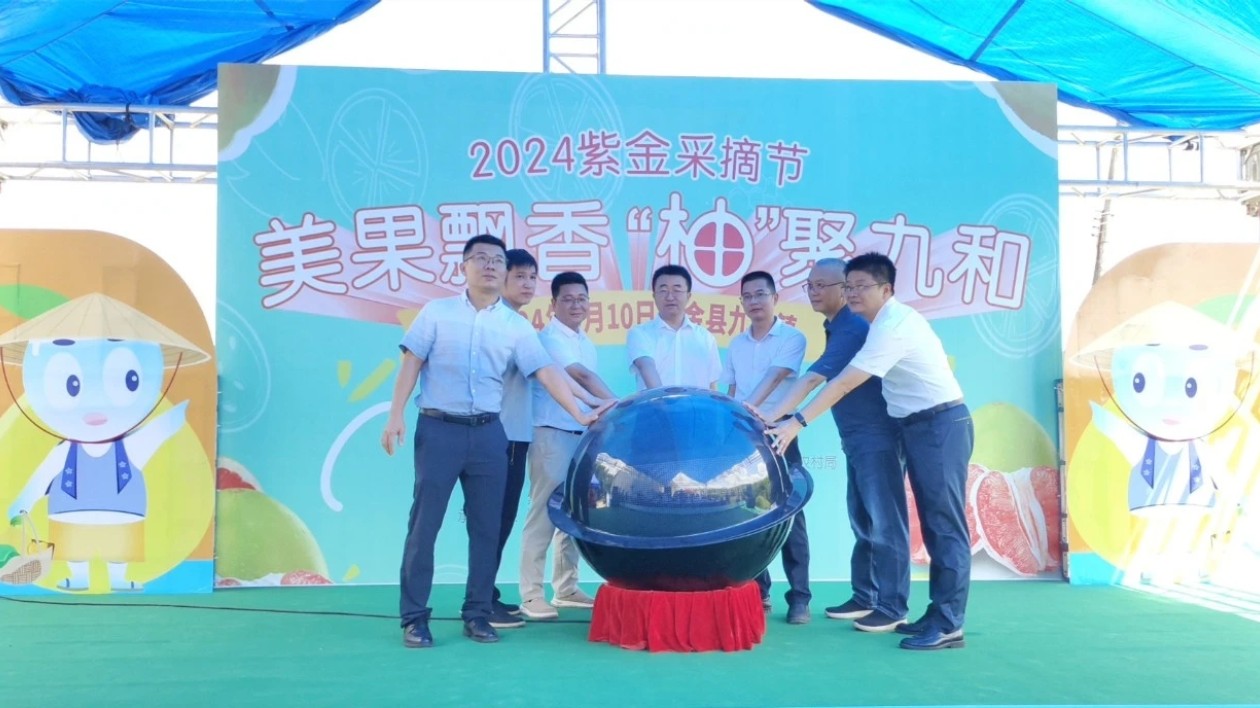 「柚」到豐收季！河源紫金2.8萬畝蜜柚開採上市