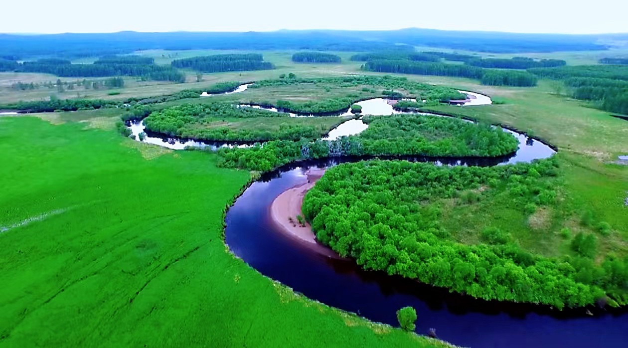 【寒地興安 龍藥領(lǐng)先】系列報(bào)道之十四  大興安嶺地區(qū)：「寒地龍藥」助力實(shí)現(xiàn)經(jīng)濟(jì)和生態(tài)效益「雙豐收」