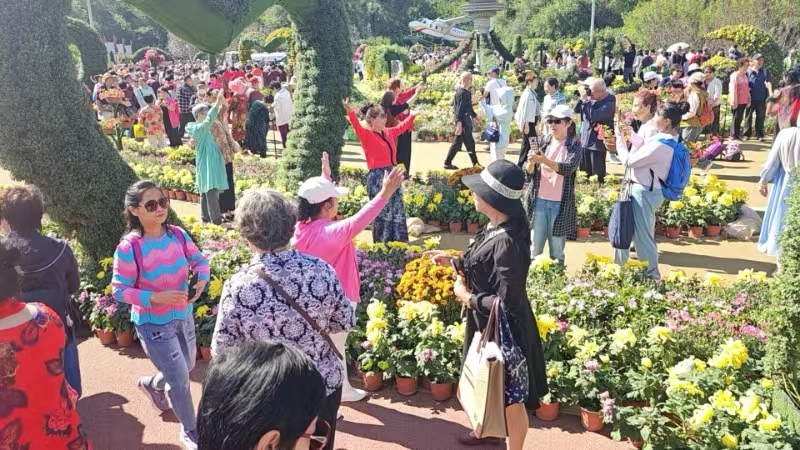 哈爾濱香坊區(qū)第二十一屆菊花展9月13日在勞動(dòng)公園開展