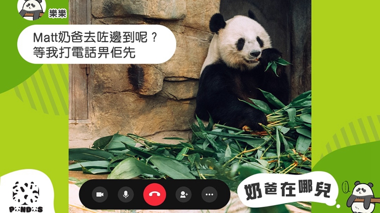 「樂樂」奶爸Matt早於7月赴四川照顧新來港大熊貓 教牠們改吃廣州竹