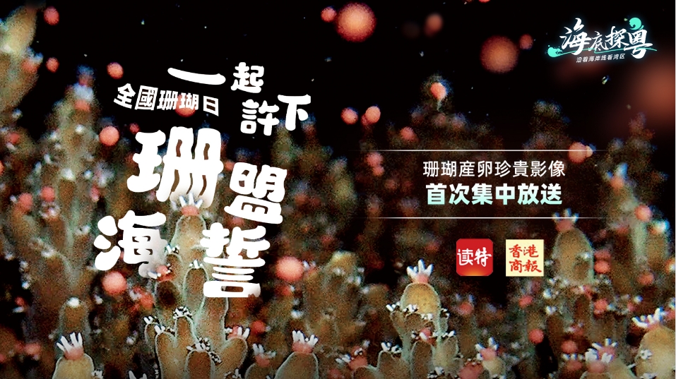 直播｜全國珊瑚日，一起許下「珊」盟海誓！