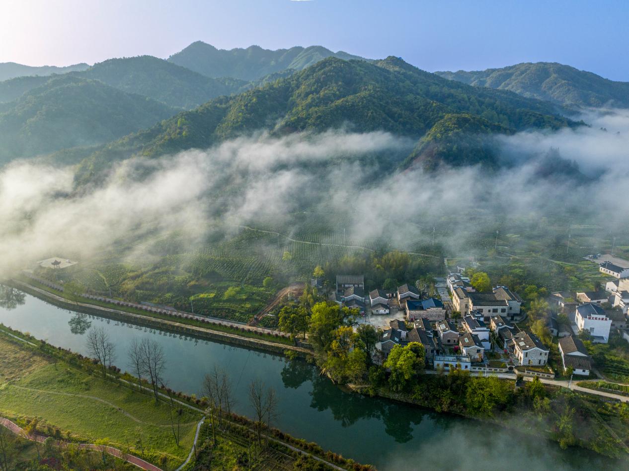 【康養(yǎng)中國】皖祁門縣：森林康養(yǎng)「新」上加「心」