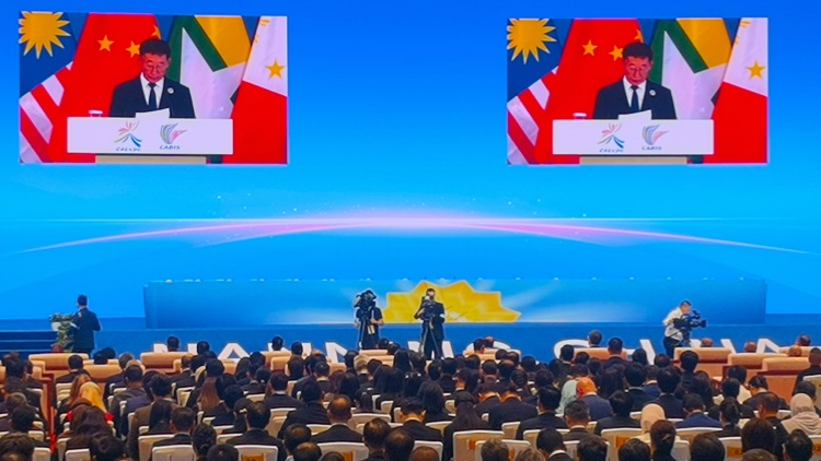 有片 | 丁薛祥宣布第21屆中國-東盟博覽會(huì)、中國-東盟商務(wù)與投資峰會(huì)開幕