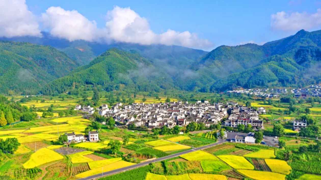 全域美時尚范高品質(zhì)  《黟縣和美鄉(xiāng)村建設(shè)白皮書》發(fā)布
