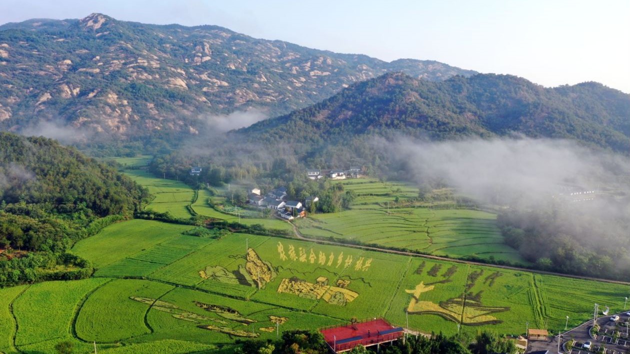 信陽：累計(jì)建成高標(biāo)準(zhǔn)農(nóng)田935萬畝 糧食產(chǎn)量常年穩(wěn)定在110億斤以上