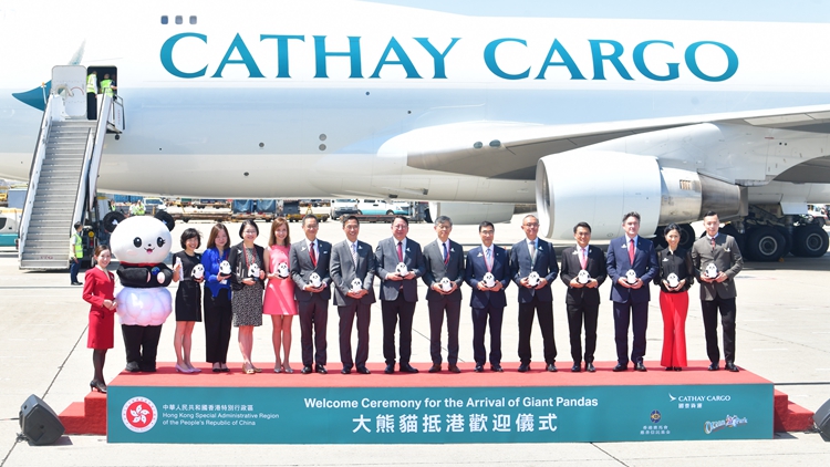 大熊貓「安安」和「可可」乘專機順利抵港 特區(qū)政府舉行歡迎儀式