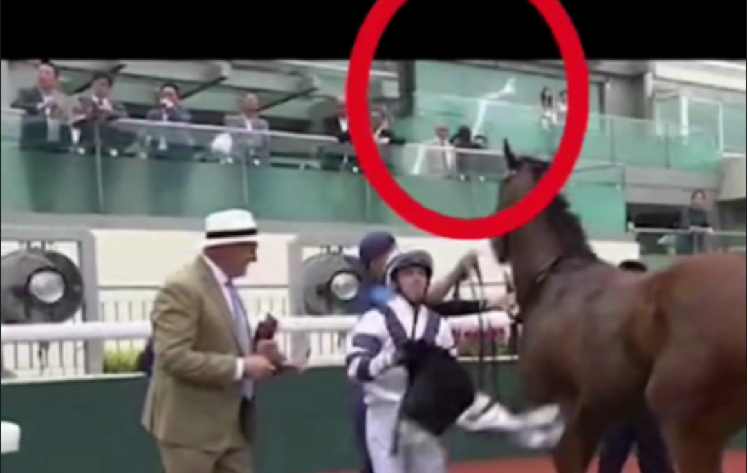 有片｜馬場(chǎng)遭雷劈驚嚇全場(chǎng)