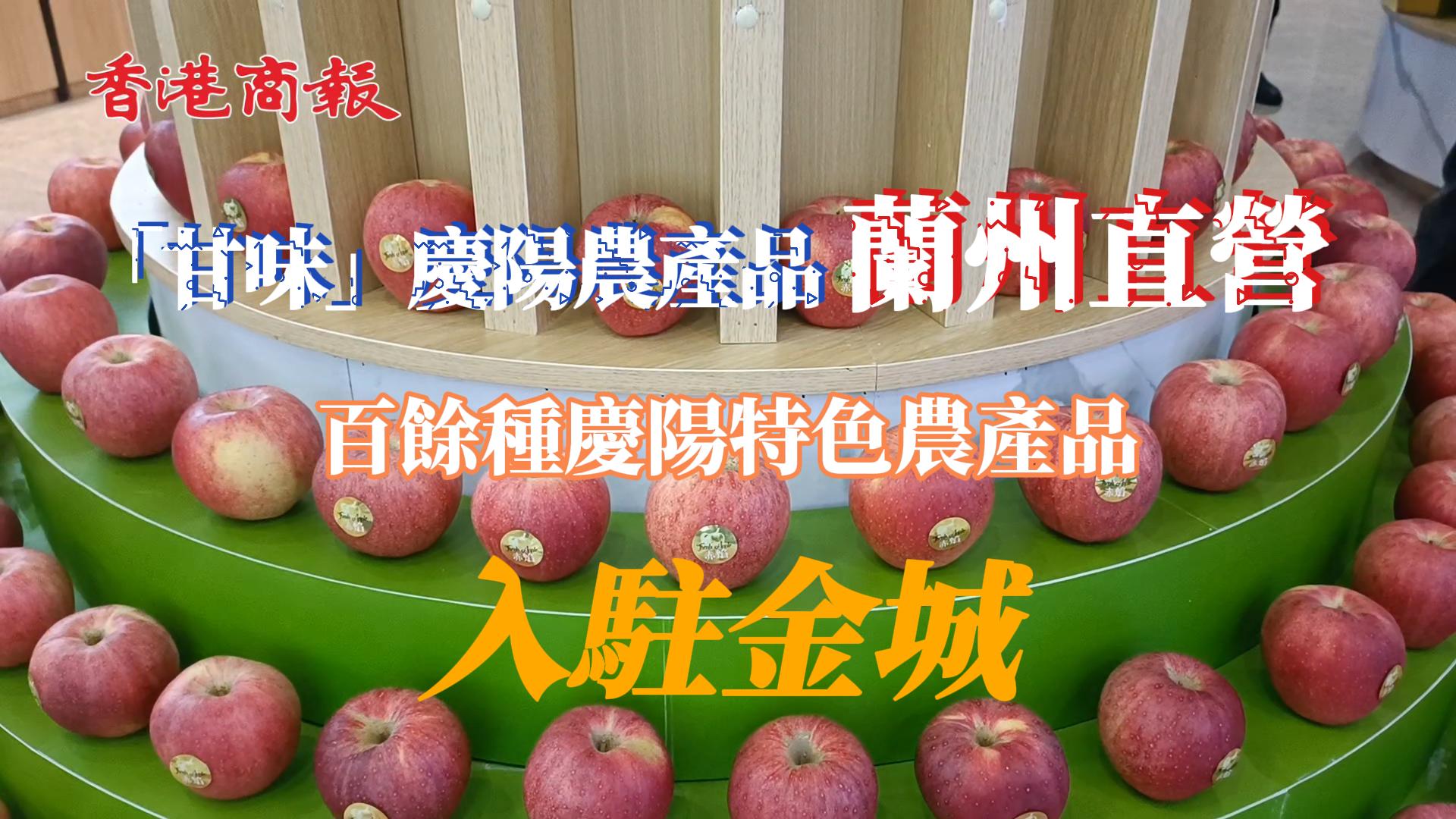 甘肅慶陽百餘種農(nóng)特產(chǎn)蘭州直營