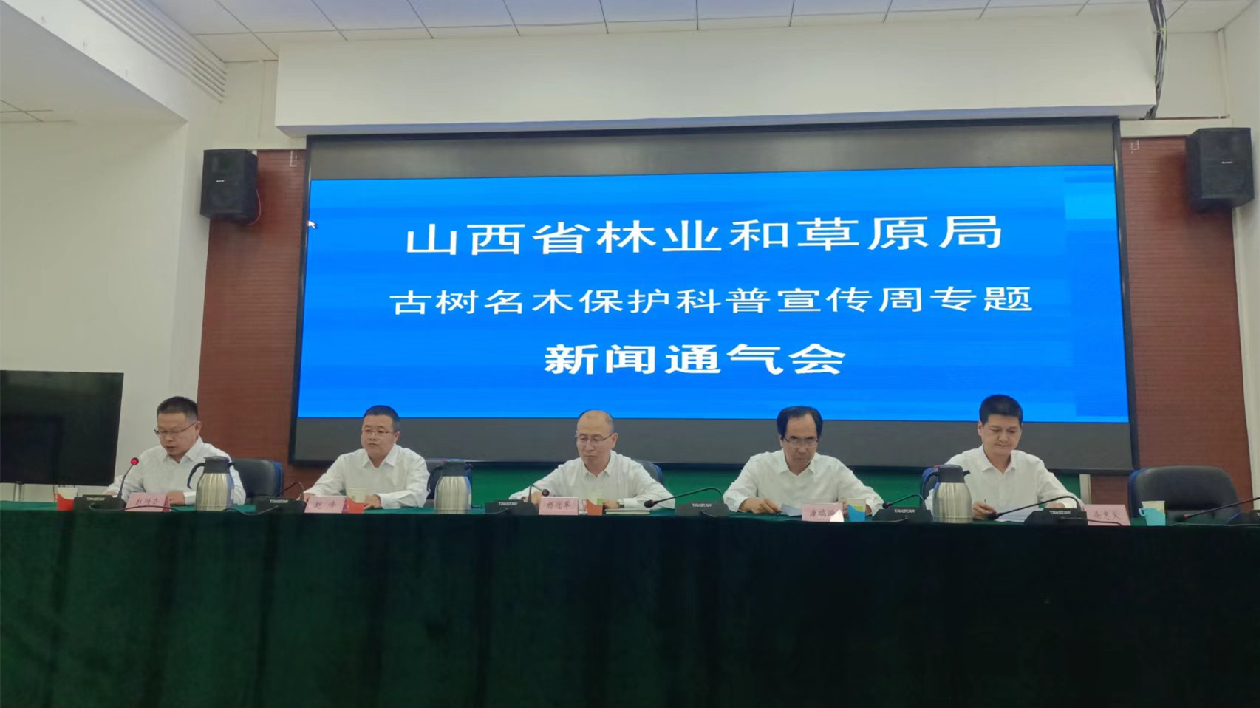 山西林業(yè)和草原局推出3條古樹名木旅遊線路