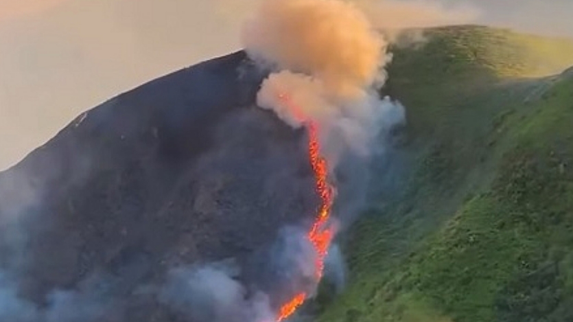 踏入乾燥季節(jié) 市民應(yīng)謹防山火