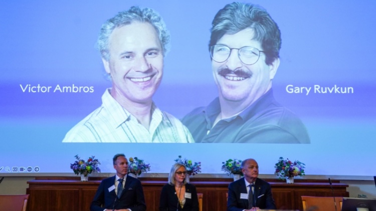 突破性發(fā)現(xiàn)microRNA 解答基因調(diào)控機(jī)制 兩美國(guó)科學(xué)家獲諾貝爾醫(yī)學(xué)獎(jiǎng)