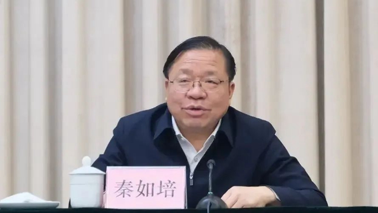 中紀(jì)委連打4「虎」！