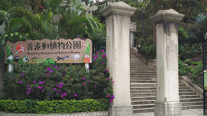 香港動(dòng)植物公園8隻猴子同日死亡 14日起暫停開(kāi)放園內(nèi)哺乳類(lèi)動(dòng)物區(qū)