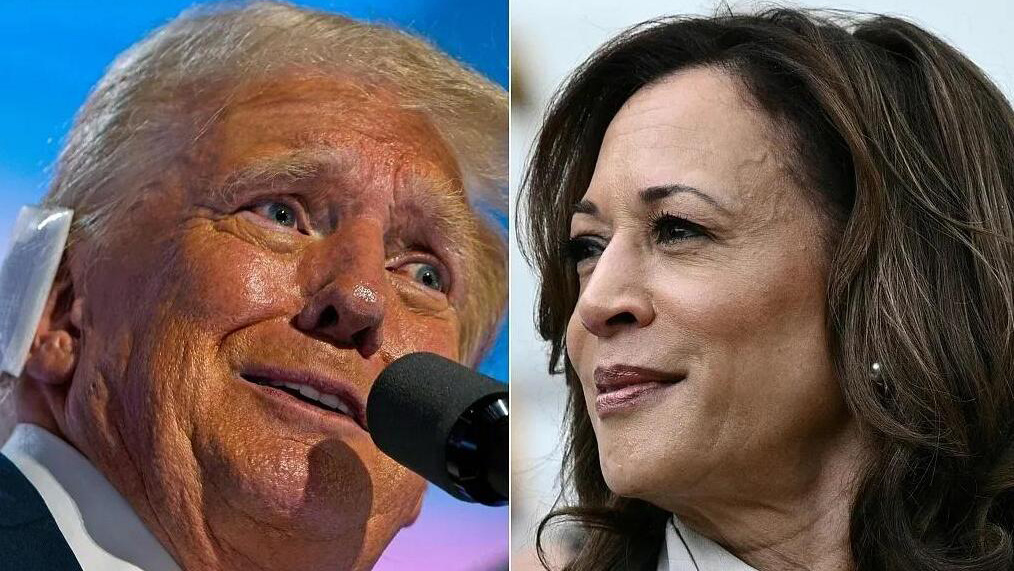 ?？怂剐侣劽裾{(diào)：特朗普在全美支持率50% 領(lǐng)先於賀錦麗的48%