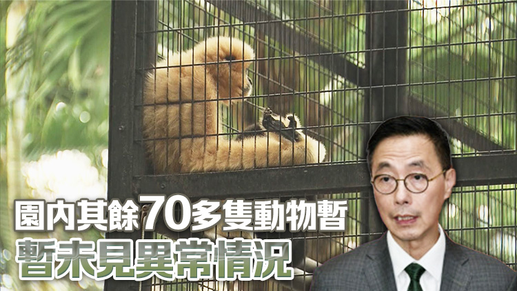 香港動植物公園累計(jì)10猴死 楊潤雄：目前預(yù)防工作足夠