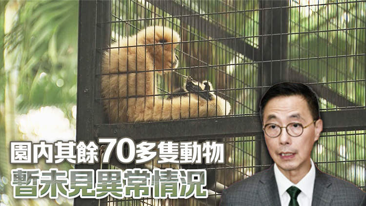 香港動(dòng)植物公園累計(jì)10猴死 楊潤(rùn)雄：目前預(yù)防工作足夠