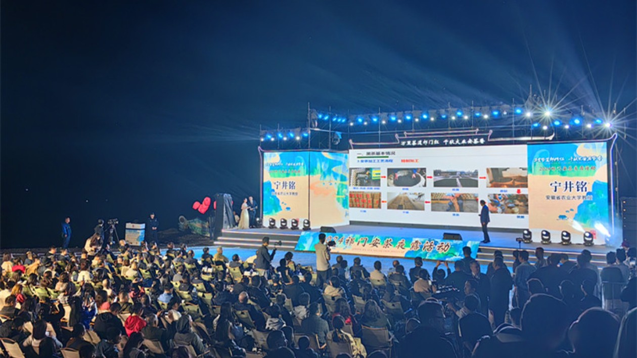 「聖茶」聲名鵲起  皖祁門縣勠力續(xù)寫安茶復(fù)興新「祁」跡