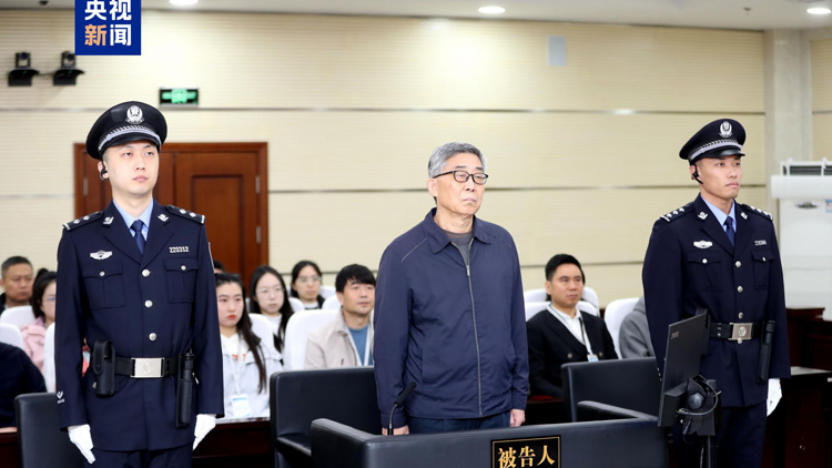 獲刑十二年！國家開發(fā)銀行原副行長王用生受賄案一審宣判