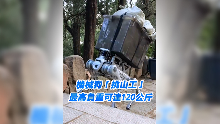 有片 | 機(jī)械狗「搬山工」 最高承重可達(dá)120公斤