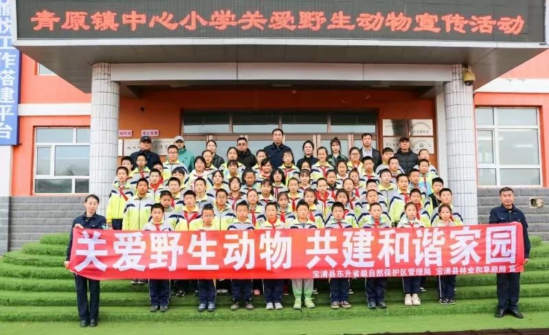 黑龍江寶清：保護(hù)野生動物  共建美好家園