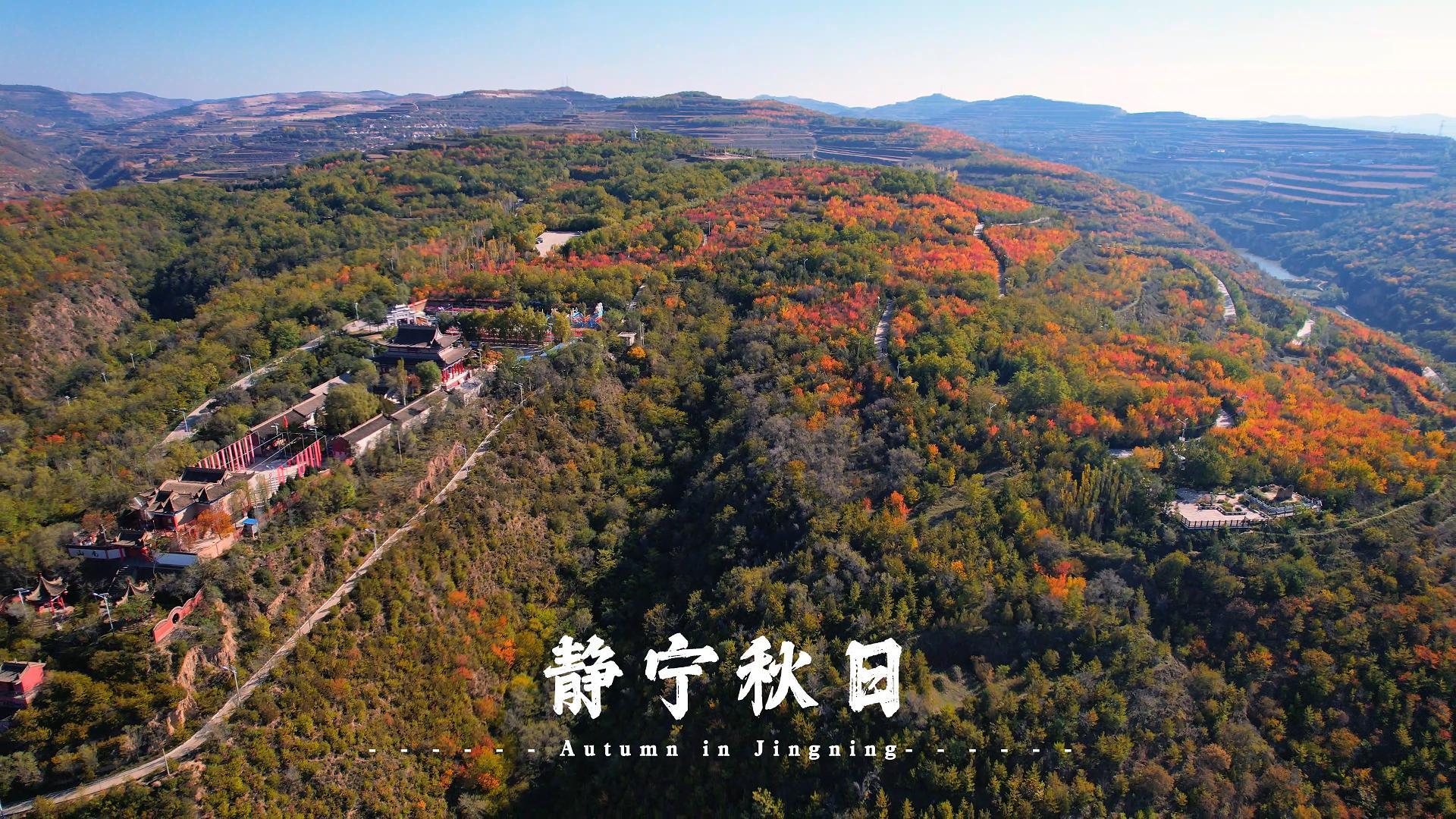 有片丨甘肅靜寧秋如畫(huà)