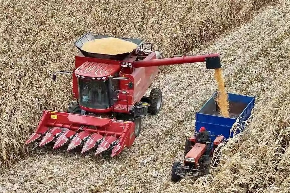 黑龍江寶清：墾地合作結(jié)碩果 喜迎豐收糧滿倉