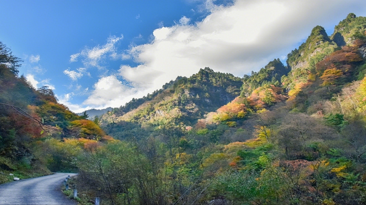 四川綿陽(yáng)平武福壽自然保護(hù)小區(qū)入選中國(guó)潛力OECMs案例