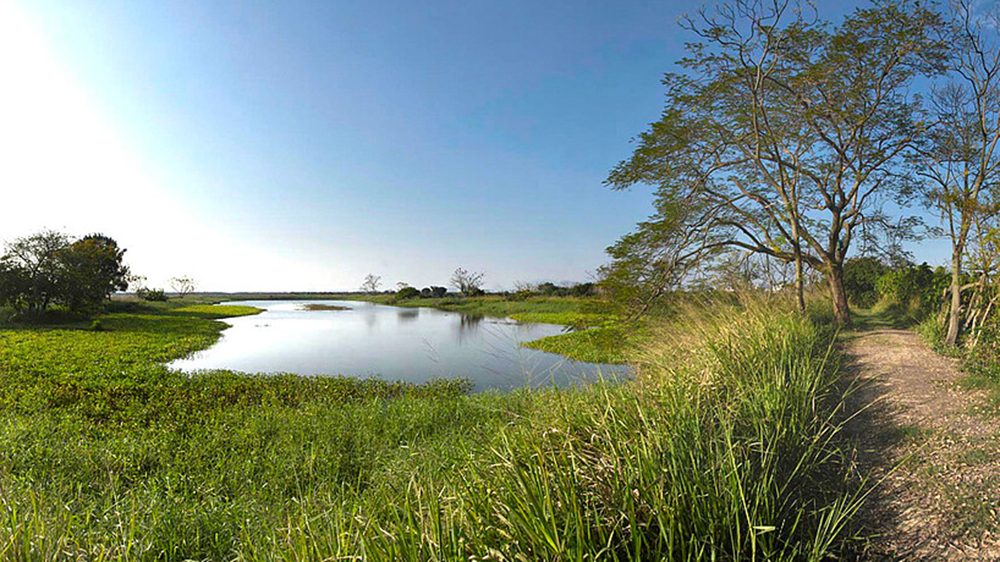 米埔自然護理區(qū)有環(huán)境樣本驗出H5N1 附近3公里無雞場