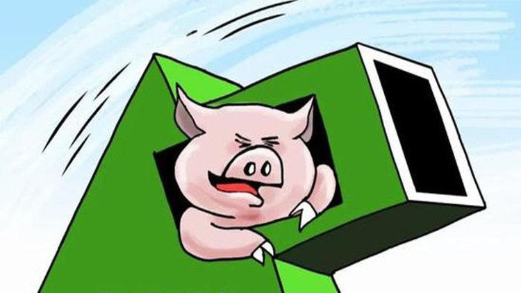 降價(jià)！降價(jià)！接下來，豬肉價(jià)格怎麼走？