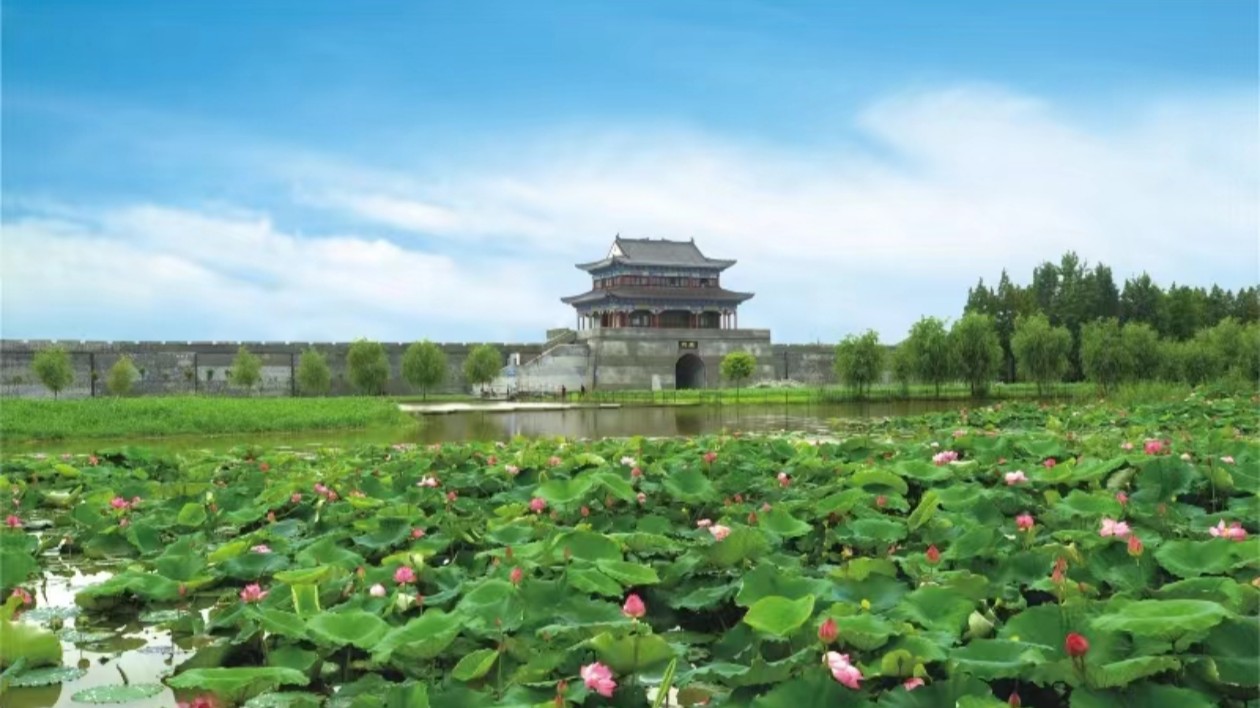 賡續(xù)長(zhǎng)江文脈 共繪「荊」彩畫(huà)卷丨仙桃：全域旅遊放光彩 水鄉(xiāng)田園繪畫(huà)卷