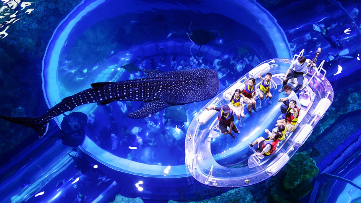 解鎖全新「鯨」喜！澳門學(xué)子探訪珠海長(zhǎng)隆海洋動(dòng)物奧秘